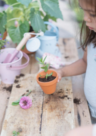 Little Dutch Plantenpotje Vergeet-Mij-Nietjes