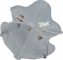 LD8917 Little Dutch Activiteiten speelkleed - Forest Friends met naam