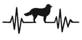 Sticker heartbeat Bernese mountain dog