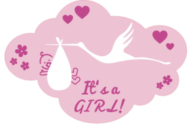Velletje sluitstickers geboortepost girl