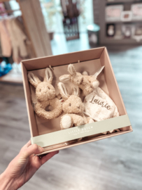 Little Dutch Giftset Baby bunny/konijn