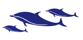 Sticker Set dolfijnen