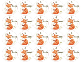 Velletje bedrukte stickers vosjes met naam naar wens