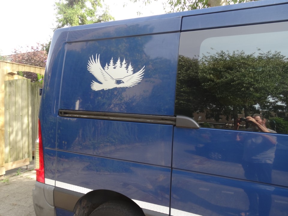 Sticker Eagle Forest