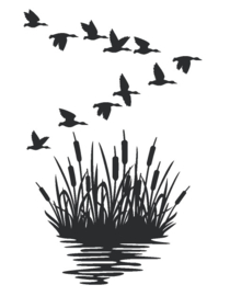 Sticker ganzen met riet