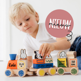 Nijntje houten blokkentrein