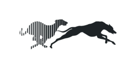 Sticker Hazewindhonden Greyhounds