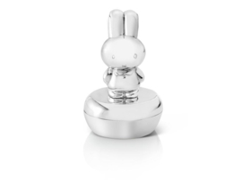 Nijntje tanden/haarlokdoosje