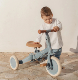 Little Dutch driewieler forest adventure