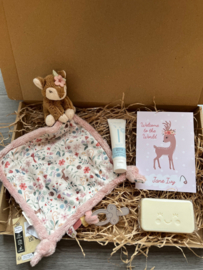 Brievenbus Pakketje - little dutch pink personalized little