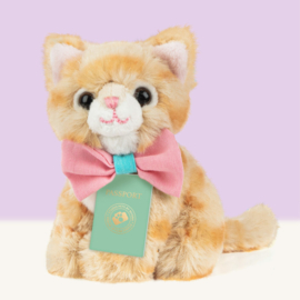 Studio Pets - Mini Tommy