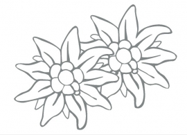 Sticker edelweiss