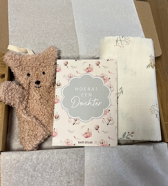 Brievenbus Pakketje - Teddy pink