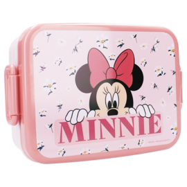 Lunchbox minnie mouse