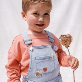 Little Dutch tuinbroek denim mt 74