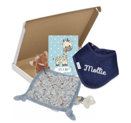 Brievenbus Pakketje - little dutch blue