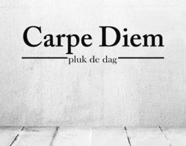 Sticker carpe diem 1 meter