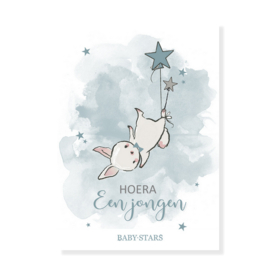 Baby Stars - 'Hoera een jongen' Kaart