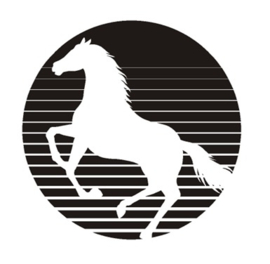 Sticker paard in zon