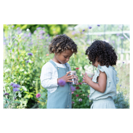 Little Dutch Insectenpotje - Forest Friends