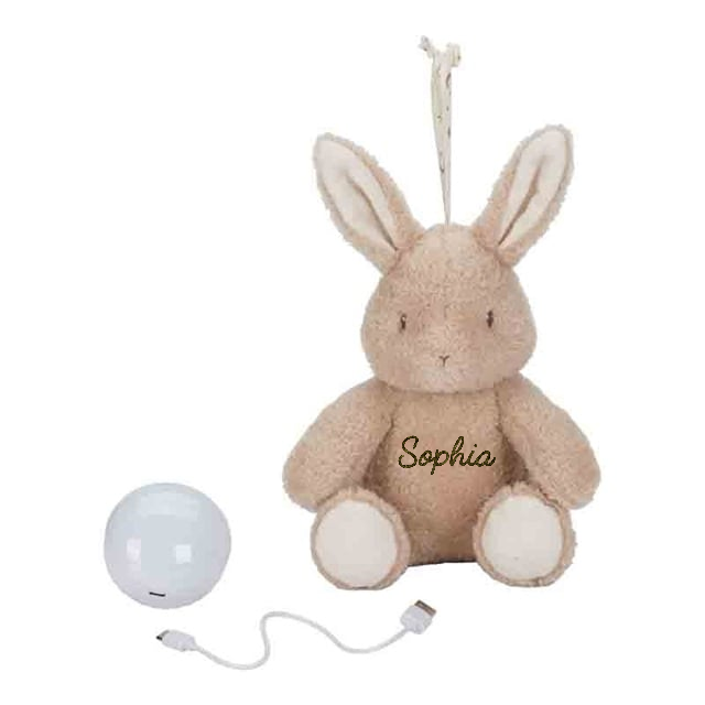 Little dutch bunny met verlichting