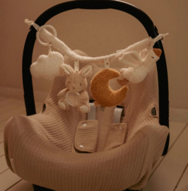 Little Dutch wagenspanner Newborn