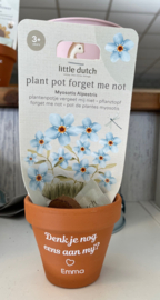 Little dutch Bloempotje met plant setje naar wens
