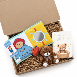 Brievenbus pakket - Paddington Bear