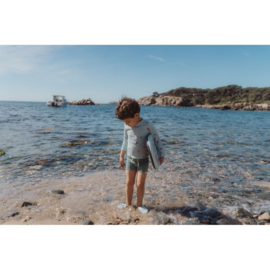 Little Dutch ocean world Kickboard