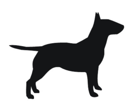 Sticker Bull Terrier staand