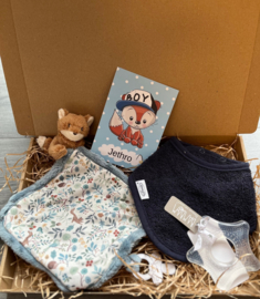 Brievenbus Pakketje - little dutch blue personalized de luxe