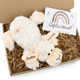 Brievenbus Pakketje - Schaap