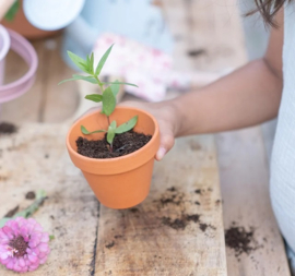 Nieuw little dutch plantenpotje vergeet me nietjes