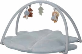 LD8917 Little Dutch Activiteiten speelkleed - Forest Friends met naam