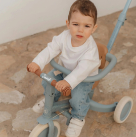 Little Dutch driewieler forest adventure