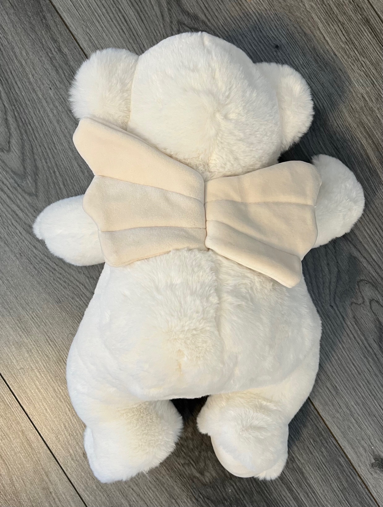 angel bear troostbeer groot