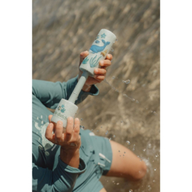 Little Dutch ocean world shooter