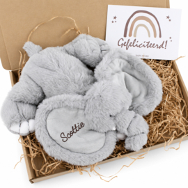 Brievenbus Pakketje - Olifant
