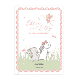 Baby Stars Boekje - Chloë & Lilly en het eenzame elfje
