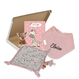 Brievenbus Pakketje - little dutch pink