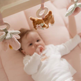 Little Dutch Babygym - Roze - Fairy Garden