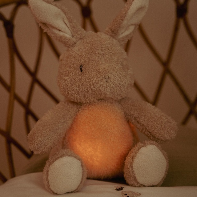 Little dutch bunny met verlichting