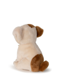 B.T. Chaps Bertha the American Bulldog floppy in giftbox 17 cm