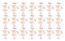 Velletje bedrukte stickers ballerina hertje met naam naar wens