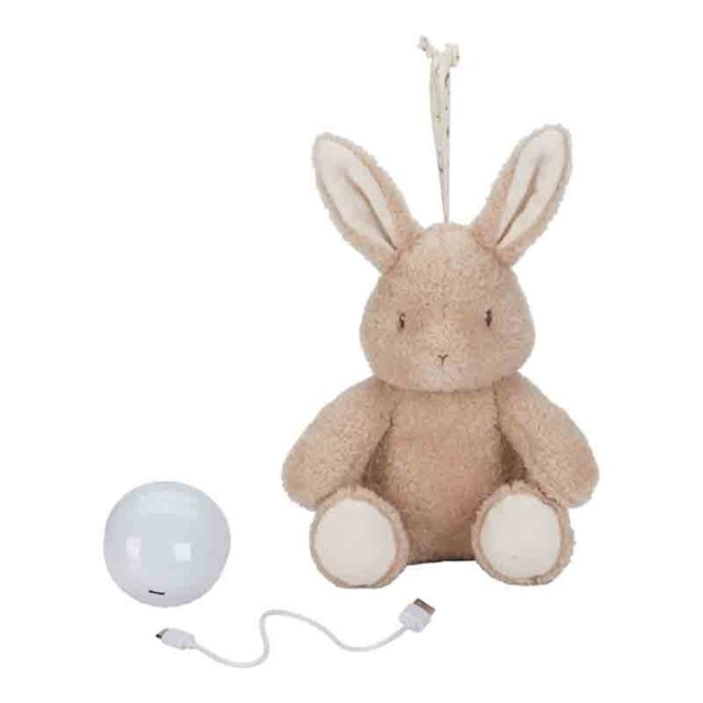Little dutch bunny met verlichting