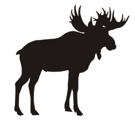 Sticker moose eland A