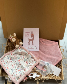 Brievenbus Pakketje - little dutch pink personalized de luxe