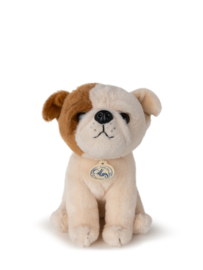 B.T. Chaps Bertha the American Bulldog floppy in giftbox 17 cm