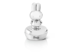 Nijntje tanden/haarlokdoosje