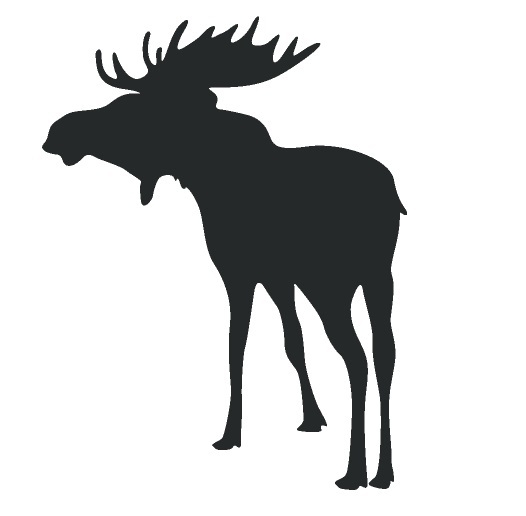 Uitdrukkelijk Aanhankelijk waar dan ook Sticker moose eland b | Voer & vaartuigen | The River House